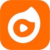 盘丝洞安装包在线下载