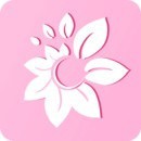 盘丝洞app下载安装