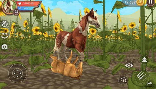 WildCraft1