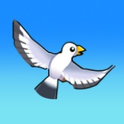 猎鹰生活Falconer Life全网通用版