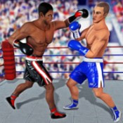 战斗之夜拳击锦标赛Fight Night Boxing Champion_logo