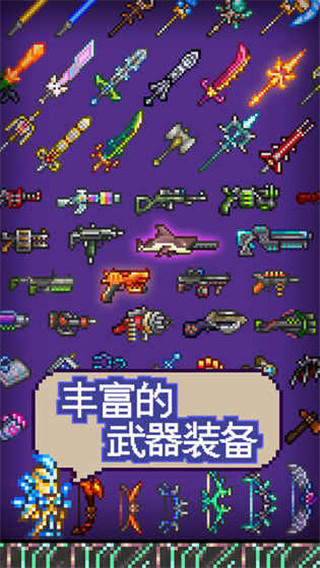 泰拉瑞亚汉化版(Terraria)3