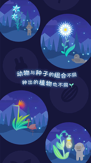 夜之森3