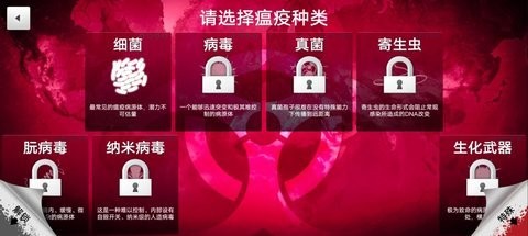 细菌公司分享版2